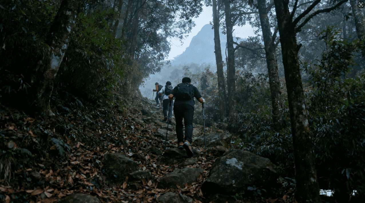 正确使用蚂蚁加速器实现高效网络加速技巧